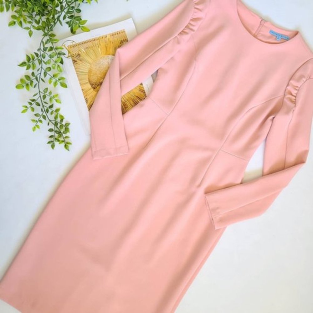 Antonio Melani Tasha Ruched Shoulder Dress Size 0